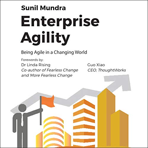 Enterprise Agility Being Agile in a Changing World